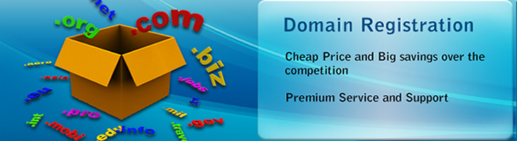 Register Your Domain